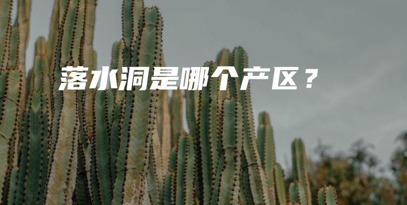 落水洞是哪個產(chǎn)區(qū)？插圖