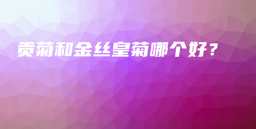 貢菊和金絲皇菊哪個(gè)好？插圖