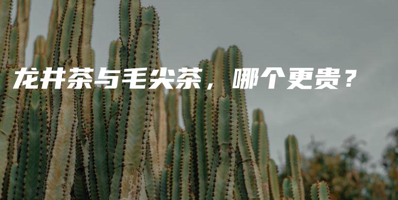 龍井茶與毛尖茶，哪個更貴？插圖