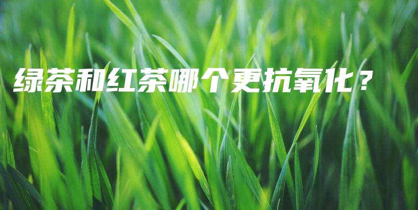 綠茶和紅茶哪個更抗氧化？插圖