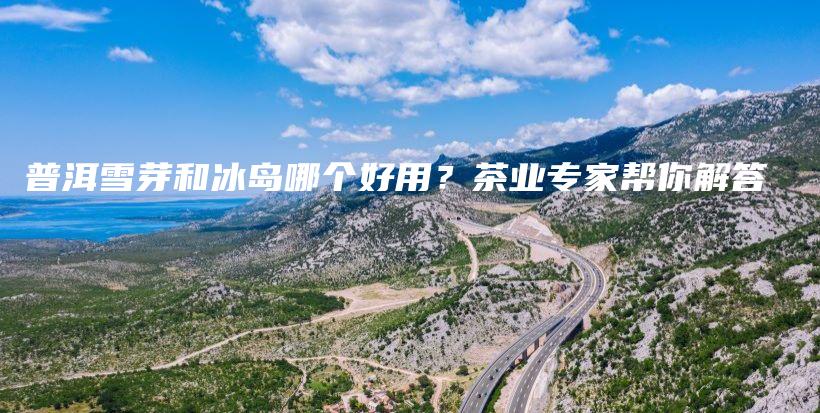 普洱雪芽和冰島哪個好用？茶業(yè)專家?guī)湍憬獯鸩鍒D