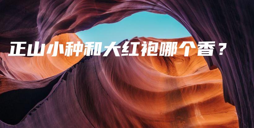 正山小種和大紅袍哪個香？插圖