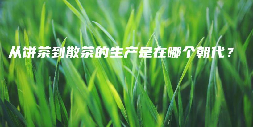 從餅茶到散茶的生產(chǎn)是在哪個朝代？插圖