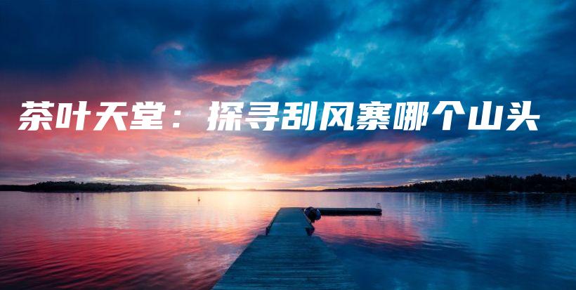 茶葉天堂：探尋刮風(fēng)寨哪個山頭插圖