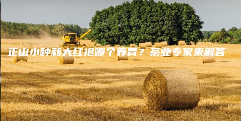 正山小種和大紅袍哪個養(yǎng)胃？茶業(yè)專家來解答插圖