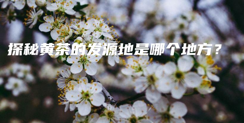 探秘黃茶的發(fā)源地是哪個(gè)地方？插圖