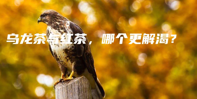 烏龍茶與紅茶，哪個更解渴？插圖