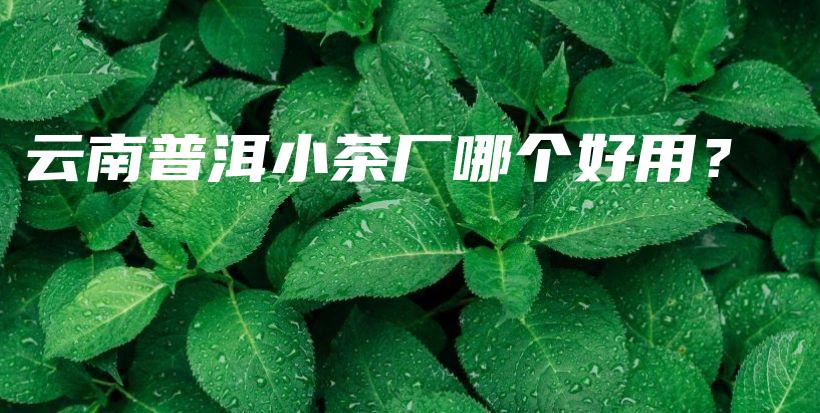 云南普洱小茶廠哪個好用？插圖