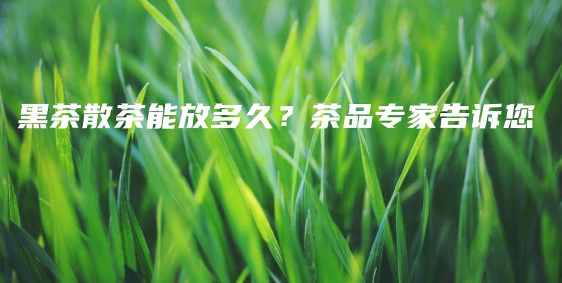 黑茶散茶能放多久？茶品專家告訴您插圖