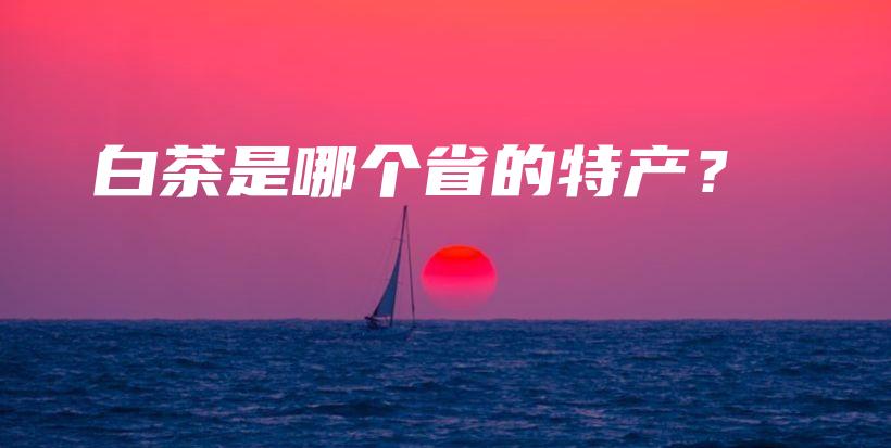 白茶是哪個省的特產(chǎn)？插圖
