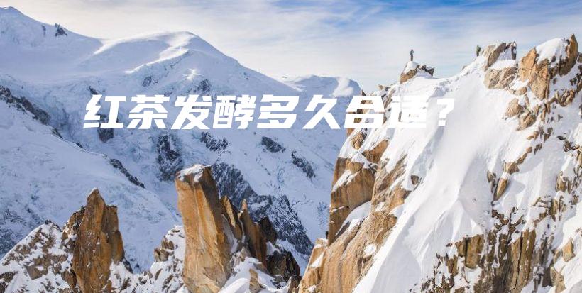 紅茶發(fā)酵多久合適？插圖