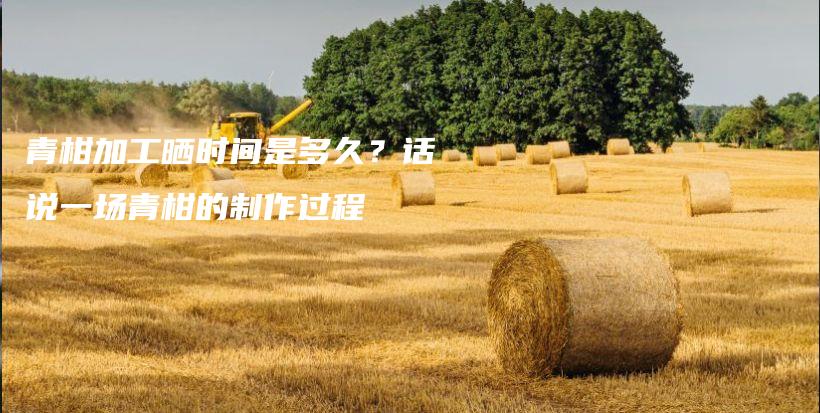 青柑加工曬時間是多久？話說一場青柑的制作過程插圖