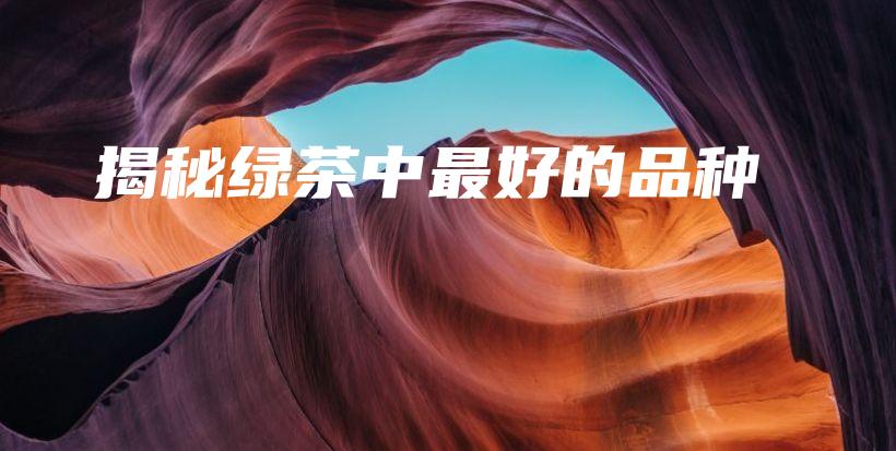 揭秘綠茶中最好的品種插圖