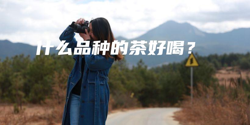 什么品種的茶好喝？插圖