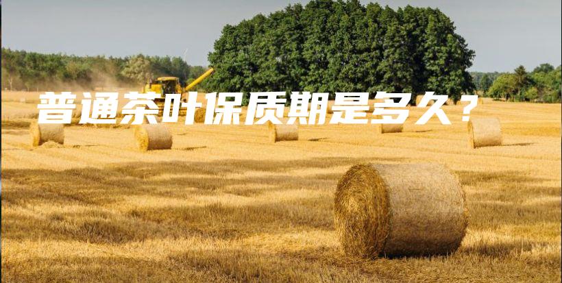普通茶葉保質(zhì)期是多久？插圖