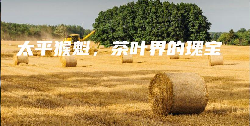 太平猴魁，茶葉界的瑰寶插圖