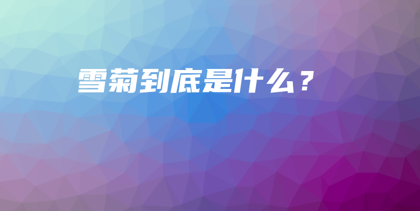 雪菊到底是什么？插圖