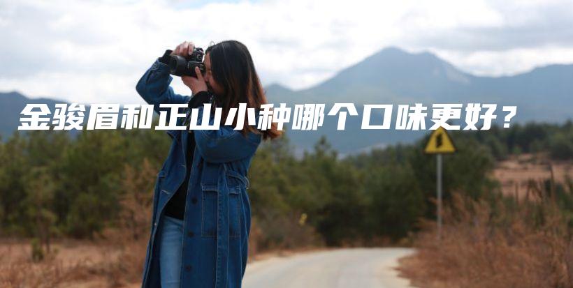 金駿眉和正山小種哪個(gè)口味更好？插圖