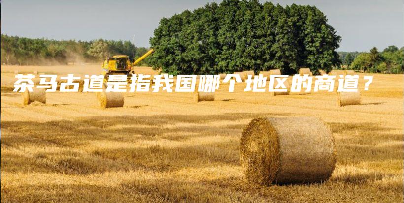 茶馬古道是指我國(guó)哪個(gè)地區(qū)的商道？插圖