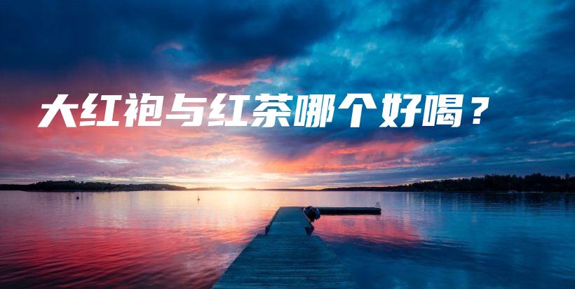 大紅袍與紅茶哪個(gè)好喝？插圖