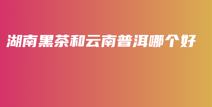 湖南黑茶和云南普洱哪個好插圖