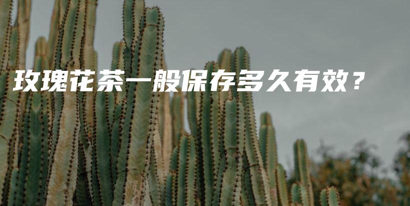 玫瑰花茶一般保存多久有效？插圖