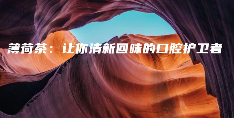 薄荷茶：讓你清新回味的口腔護(hù)衛(wèi)者插圖