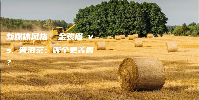 新媒體風(fēng)格  金駿眉 vs. 普洱茶：哪個(gè)更養(yǎng)胃？插圖