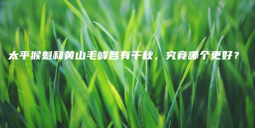 太平猴魁和黃山毛峰各有千秋，究竟哪個更好？插圖