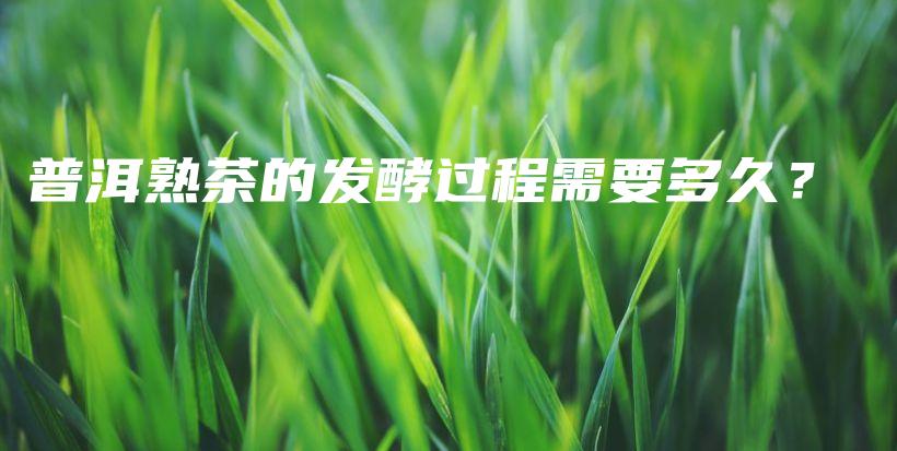 普洱熟茶的發(fā)酵過程需要多久？插圖