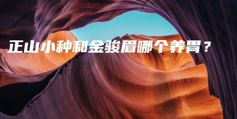 正山小種和金駿眉哪個養(yǎng)胃？插圖