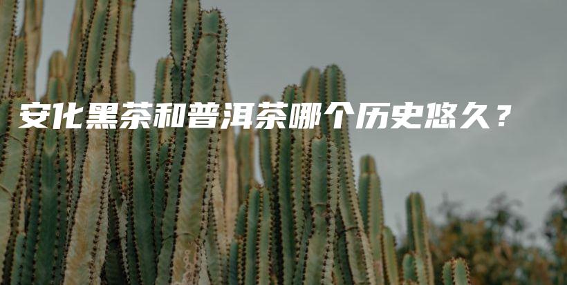 安化黑茶和普洱茶哪個歷史悠久？插圖