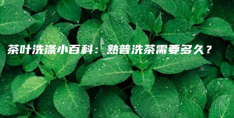 茶葉洗滌小百科：熟普洗茶需要多久？插圖