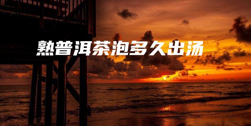 熟普洱茶泡多久出湯插圖