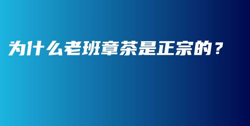 為什么老班章茶是正宗的？插圖