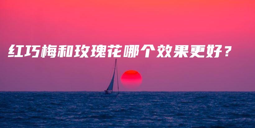 紅巧梅和玫瑰花哪個效果更好？插圖