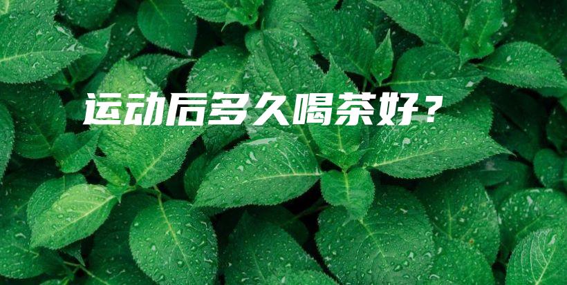 運動后多久喝茶好？插圖