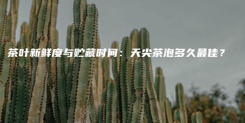 茶葉新鮮度與貯藏時間：天尖茶泡多久最佳？插圖