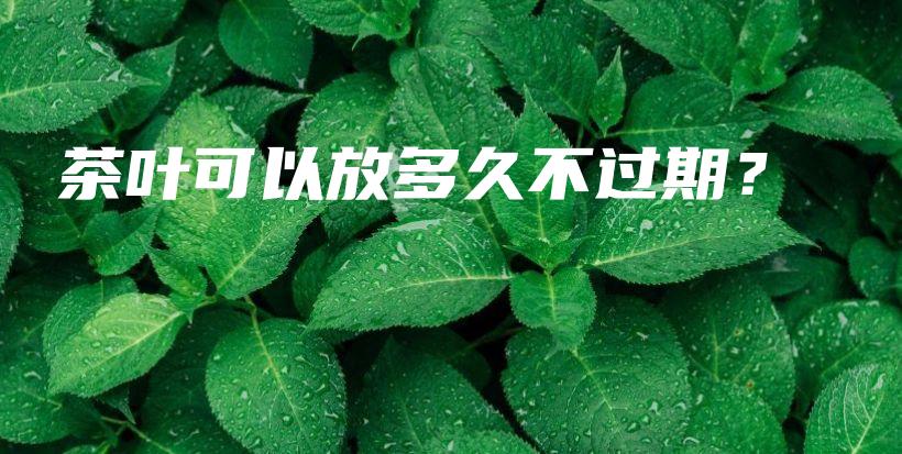 茶葉可以放多久不過期？插圖