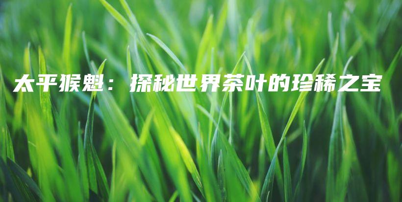太平猴魁：探秘世界茶葉的珍稀之寶插圖