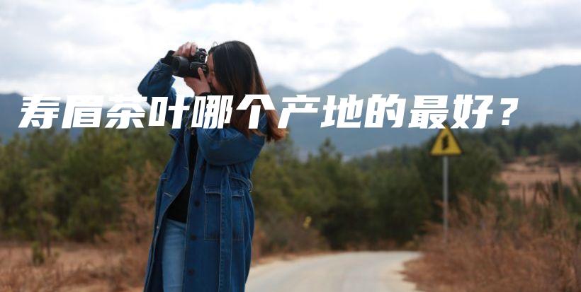 壽眉茶葉哪個(gè)產(chǎn)地的最好？插圖