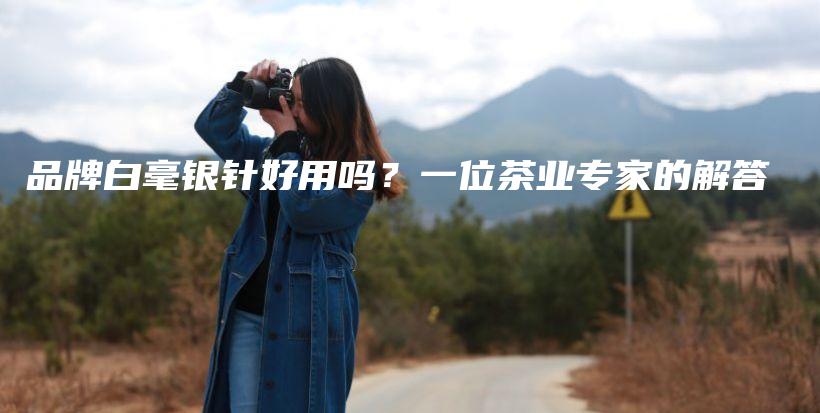 品牌白毫銀針好用嗎？一位茶業(yè)專家的解答插圖