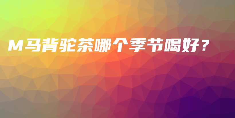 M馬背駝茶哪個季節(jié)喝好？插圖
