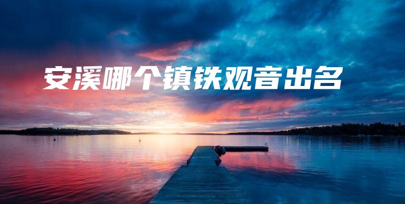 安溪哪個鎮(zhèn)鐵觀音出名插圖