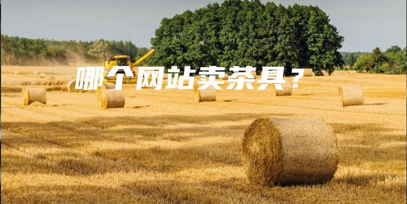 哪個網站賣茶具？插圖