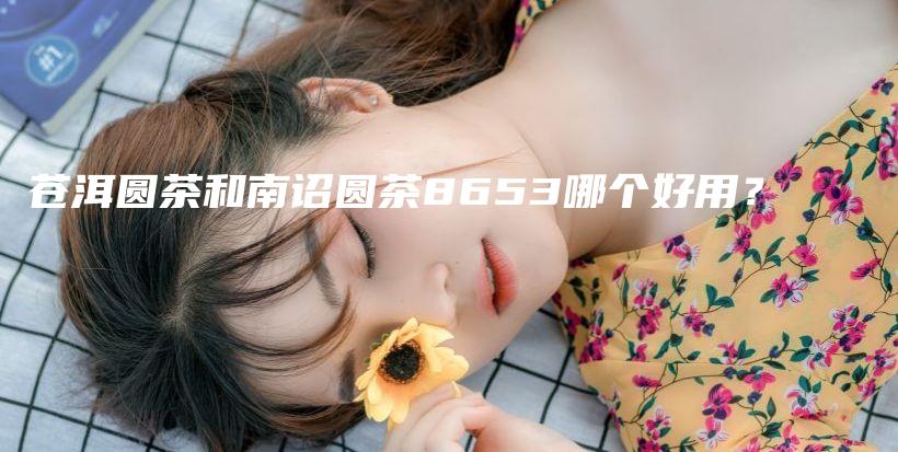 蒼洱圓茶和南詔圓茶8653哪個好用？插圖