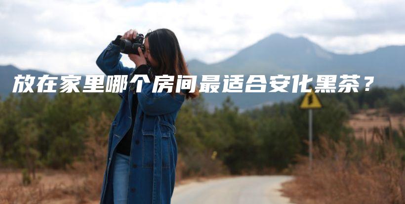 放在家里哪個房間最適合安化黑茶？插圖