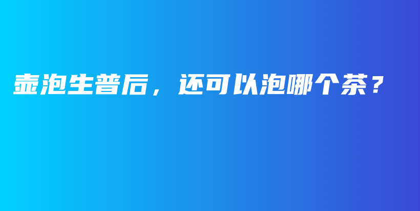 壺泡生普后，還可以泡哪個茶？插圖