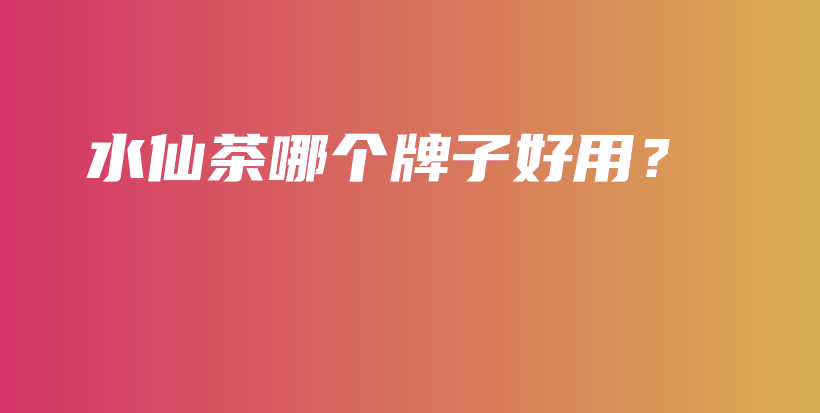 水仙茶哪個牌子好用？插圖