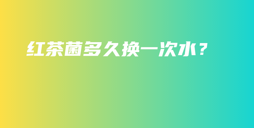 紅茶菌多久換一次水？插圖
